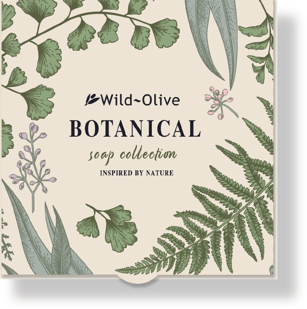 Botanical Soap gift set - 4 soaps - Wild Olive