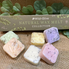 Load image into Gallery viewer, Wild Olive - Wax Melt Gift set - 6 Gift box
