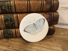 Load image into Gallery viewer, Pocket Mirror - Peony and Sage - Blue Butterfly linen
