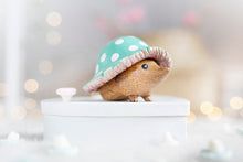Load image into Gallery viewer, DCUK - Toadstool Hedgy Green
