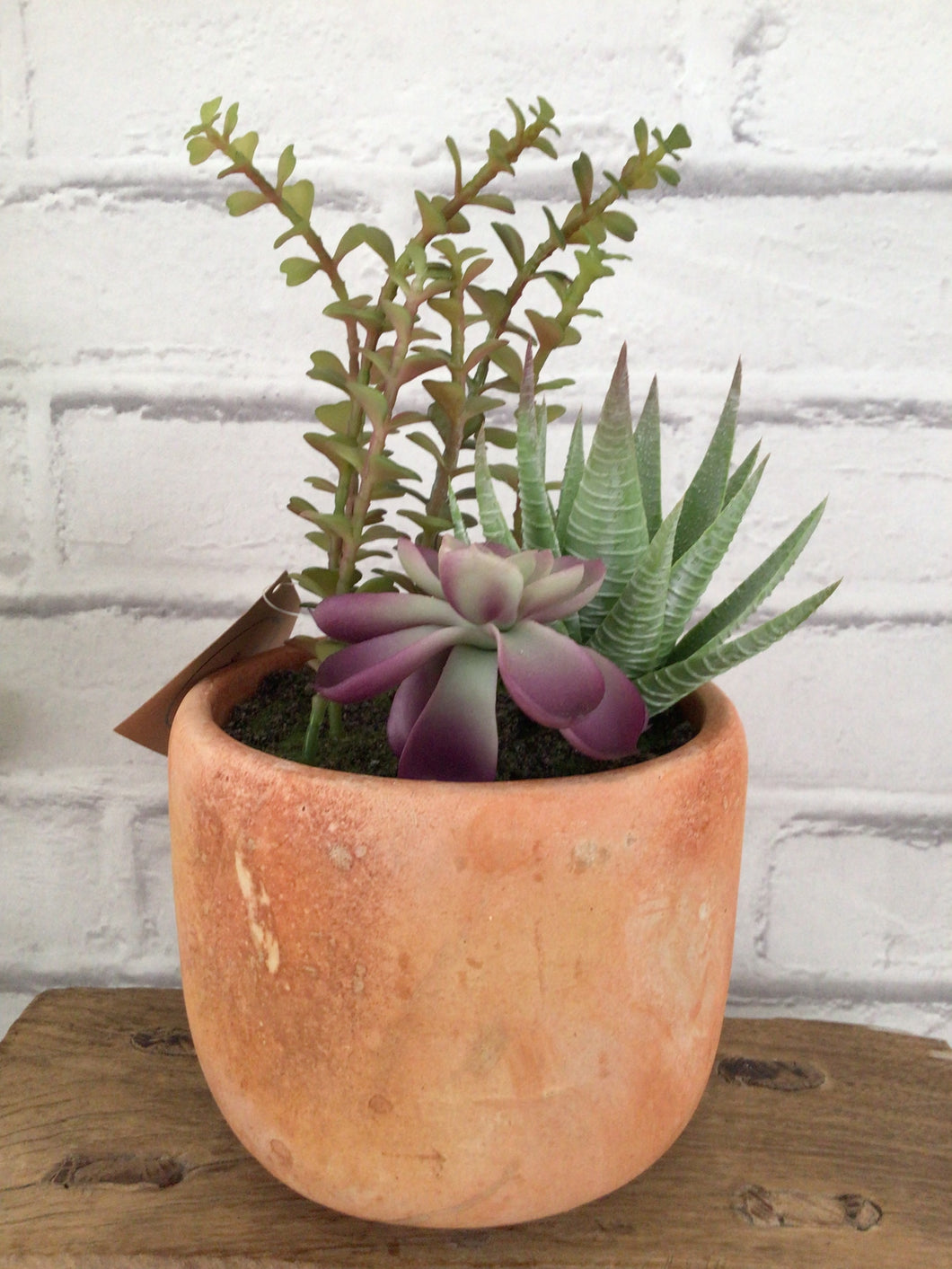 Faux Succulent in a terracotta pot style 2