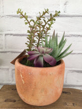 Load image into Gallery viewer, Faux Succulent in a terracotta pot style 2
