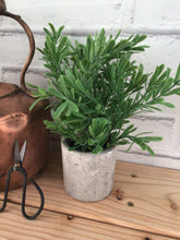 Load image into Gallery viewer, Faux Potted Buxus Plant in a Stone Pot
